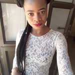 @mrspringle_official's profile picture on influence.co