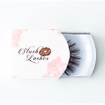 @stushlashes_xx's profile picture on influence.co