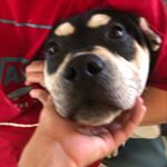 @zack.the.doc's Profile Picture