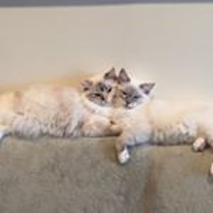 @beauty_and_the_bobble's profile picture on influence.co