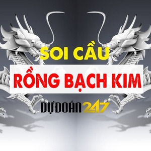 @rbk247's profile picture on influence.co