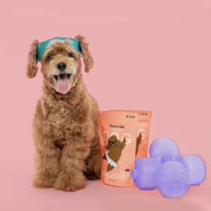 @kenn.kitt's profile picture on influence.co