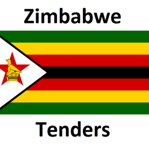 @zimbabwe_bidder's profile picture on influence.co