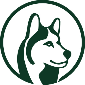 @apupabove's profile picture on influence.co