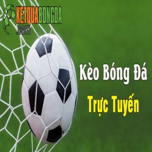 @keobongdakqbd1's profile picture on influence.co