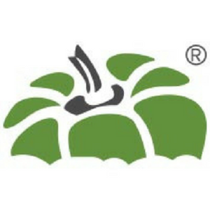 @capsicummediaworks's profile picture on influence.co