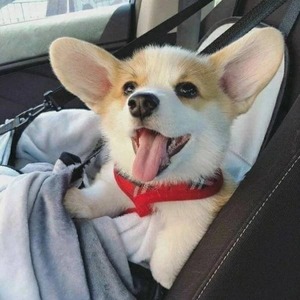 @jamess's profile picture on influence.co