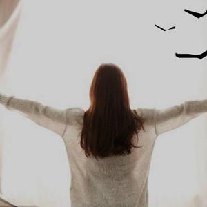 @congxephongmen's profile picture on influence.co