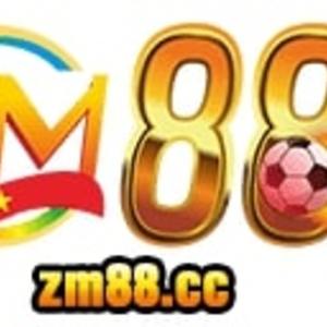 @zm88casino_'s profile picture on influence.co