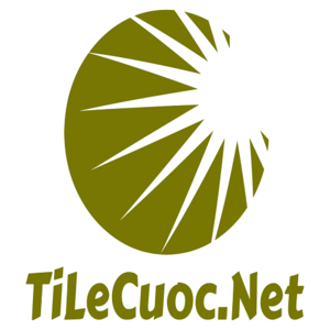 @tilecuoc's profile picture on influence.co