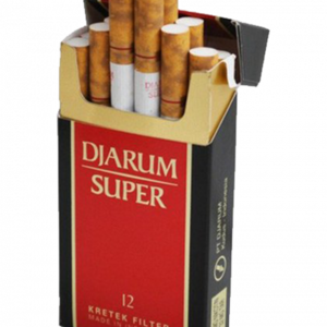 @djarumsuper's profile picture on influence.co