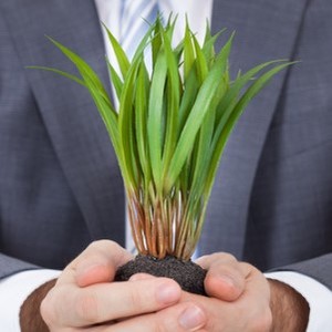 @hazeltaylor's profile picture on influence.co