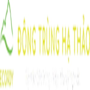 @dongtrunghathaoecordy's profile picture on influence.co