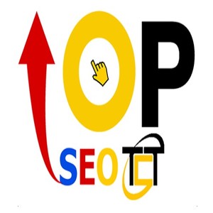@topseotctcom's profile picture on influence.co
