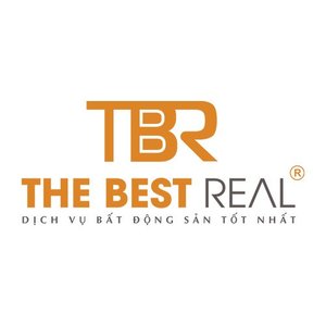 @thebestrealvn's profile picture on influence.co