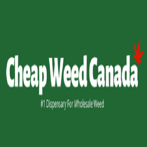 @cheapweedcanada's profile picture on influence.co