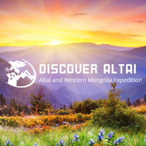 @discoveraltai's profile picture on influence.co