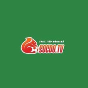 @soc_do's profile picture on influence.co