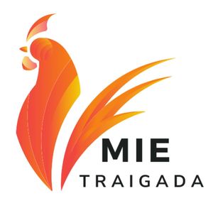 @traigada's profile picture on influence.co