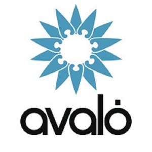 @thietkeavalo's profile picture on influence.co