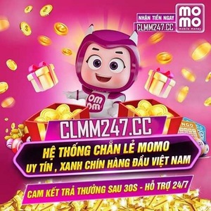 @webclmm247cc's profile picture on influence.co