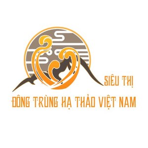 @dongtrunghathaovietnam's profile picture on influence.co
