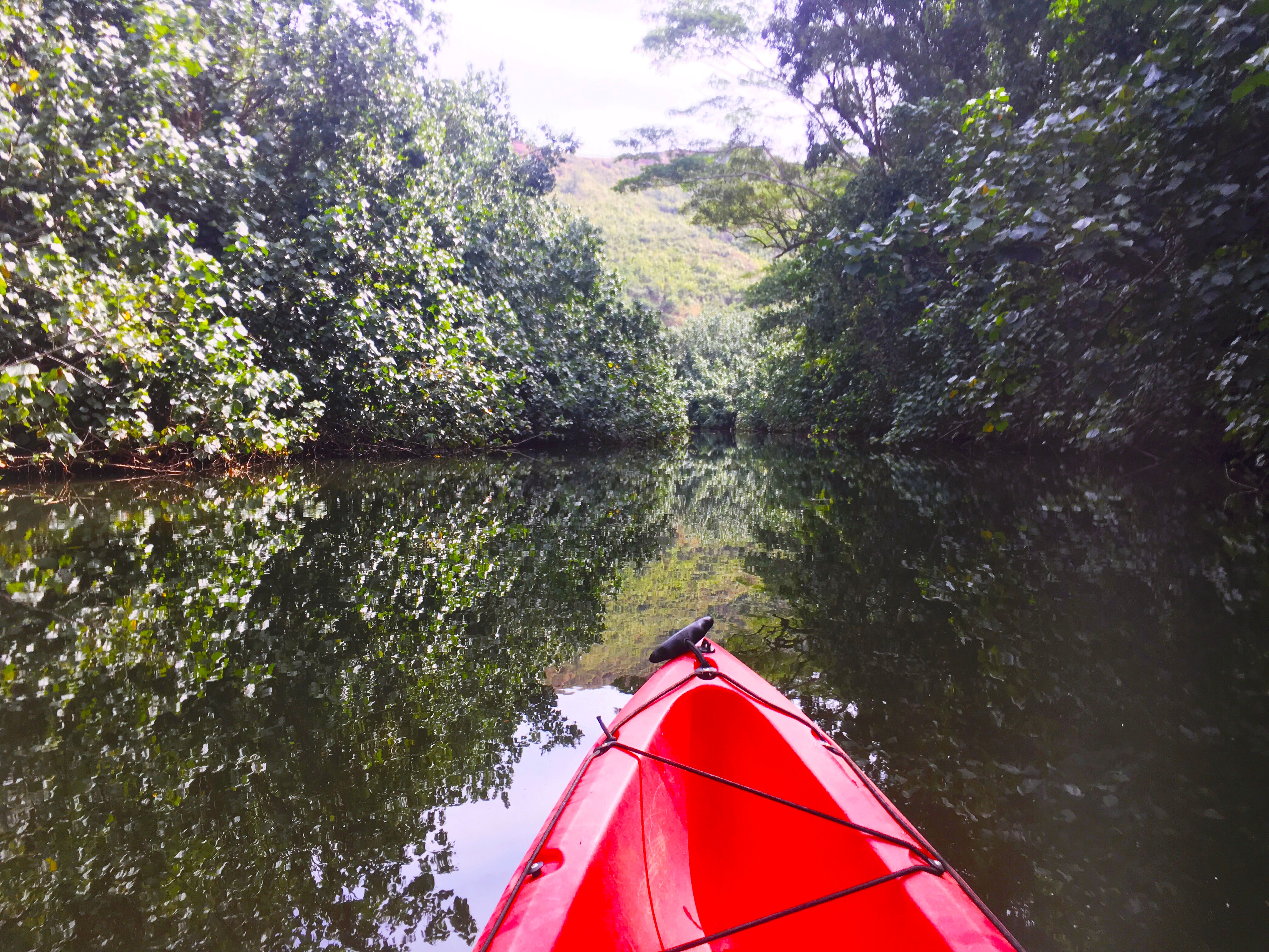 @eatwellexploreoften's cover photo for 'Exploring Kauai by Kayak - Eat Well, Explore Often'