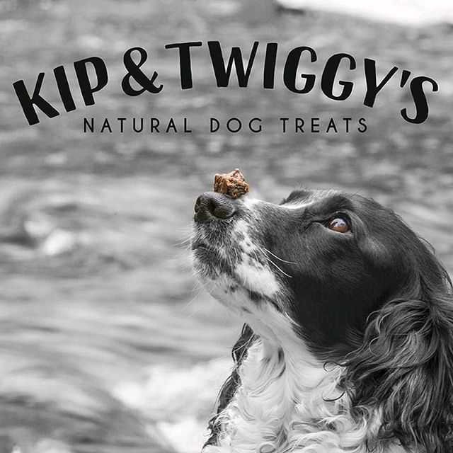 About kipandtwiggys On Influence co About kipandtwiggys On Influence co