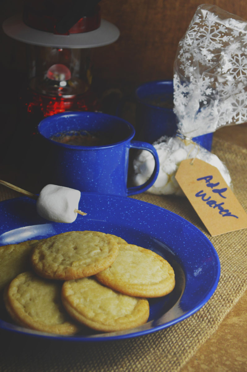 @biculturalfamilia's cover photo for 'Kids' Camping Gear Gift Ideas for Nature Lovers! | Bicultural Familia'