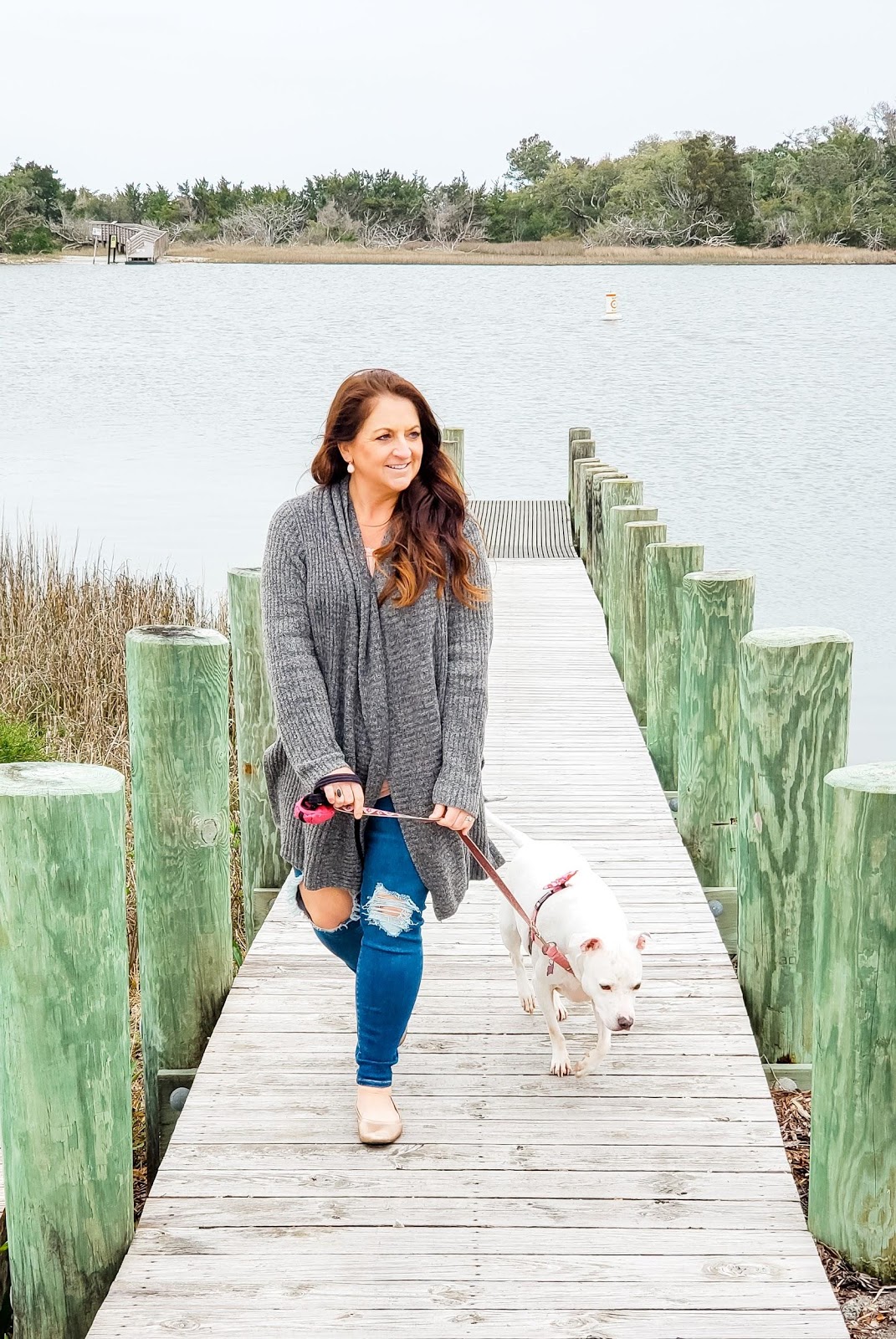 @arneradventures's cover photo for 'Seeking Guidance as a Pet Parent from a Psychic Advisor | Arner Adventures'